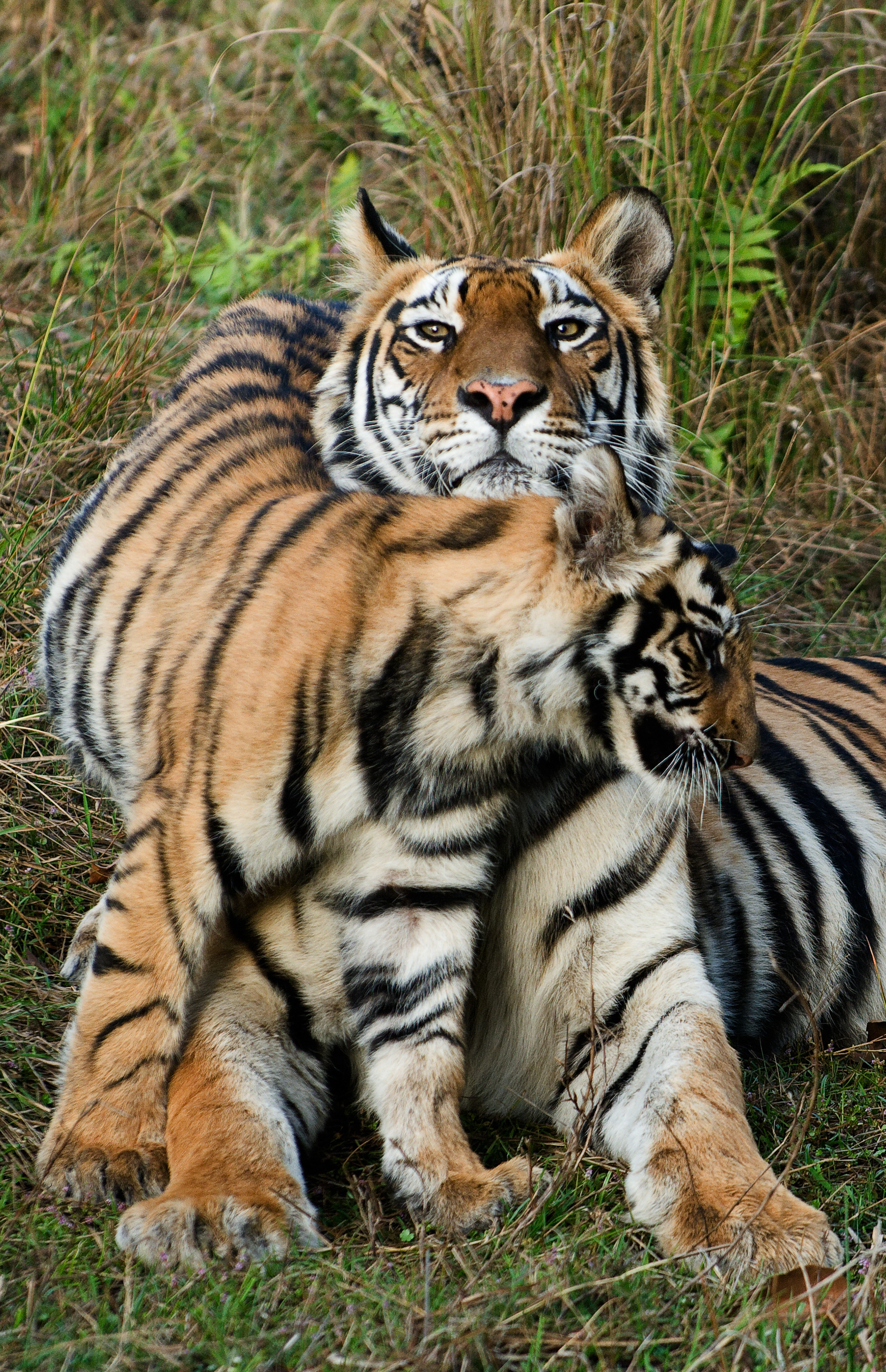 https://d3r8gwkgo0io6y.cloudfront.net/upload/zoological park4.jpg